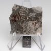 NWA 13325 Meteorite 12.7g