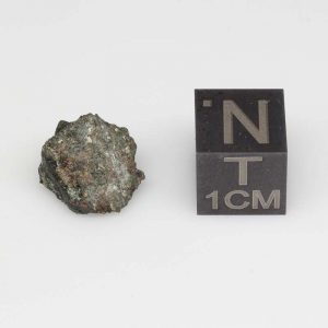 NWA 13669 Martian Nakhlite 1.02g End Cut