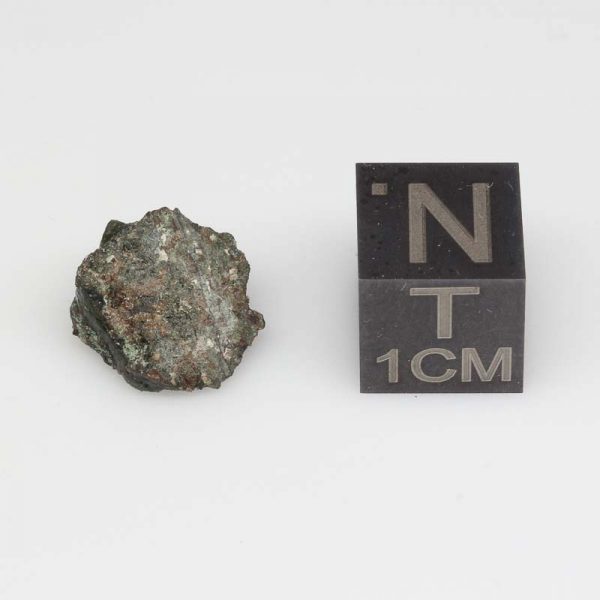 NWA 13669 Martian Nakhlite 1.02g End Cut