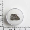 NWA 13669 Martian Nakhlite 0.61g