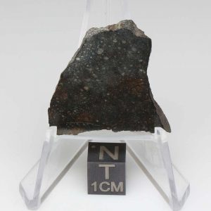 NWA 13758 Meteorite 7.0g