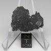 NWA 13788 Lunar Meteorite 2.78g End Cut