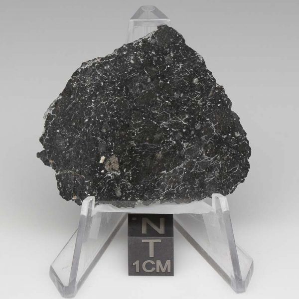 NWA 13788 Lunar Meteorite 5.56g