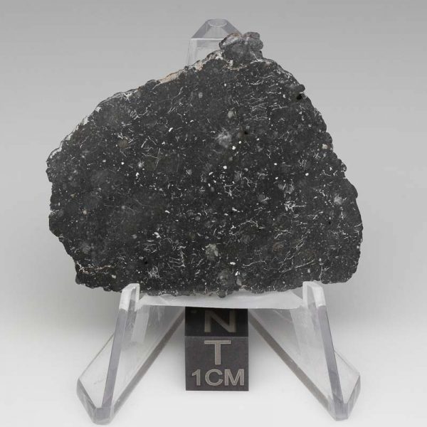 NWA 13788 Lunar Meteorite 7.56g