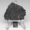 NWA 13788 Lunar Meteorite 5.91g