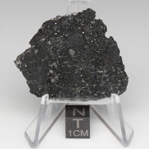 NWA 13788 Lunar Meteorite 8.05g