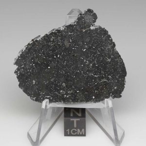 NWA 13788 Lunar Meteorite 8.78g