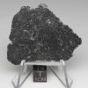 NWA 13788 Lunar Meteorite 8.13g