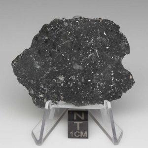 NWA 13788 Lunar Meteorite 13.54g