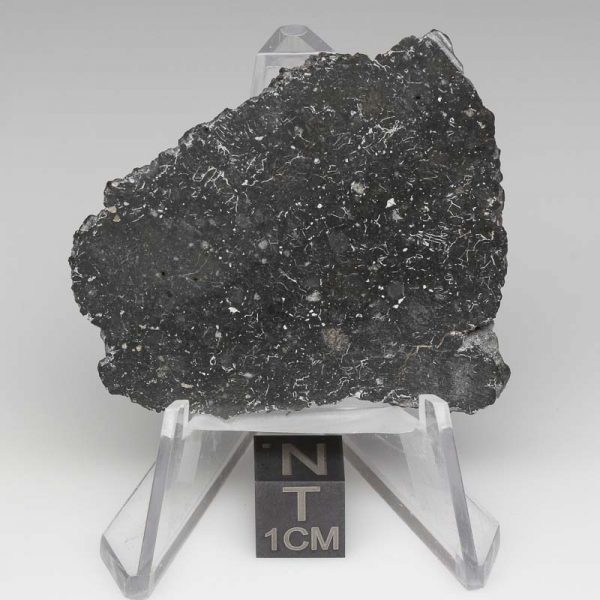 NWA 13788 Lunar Meteorite 7.23g