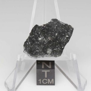 NWA 13788 Lunar Meteorite 1.03g