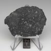 NWA 13788 Lunar Meteorite 11.32g