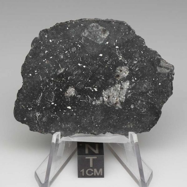 NWA 13788 Lunar Meteorite 9.04g