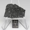NWA 13788 Lunar Meteorite 1.86g