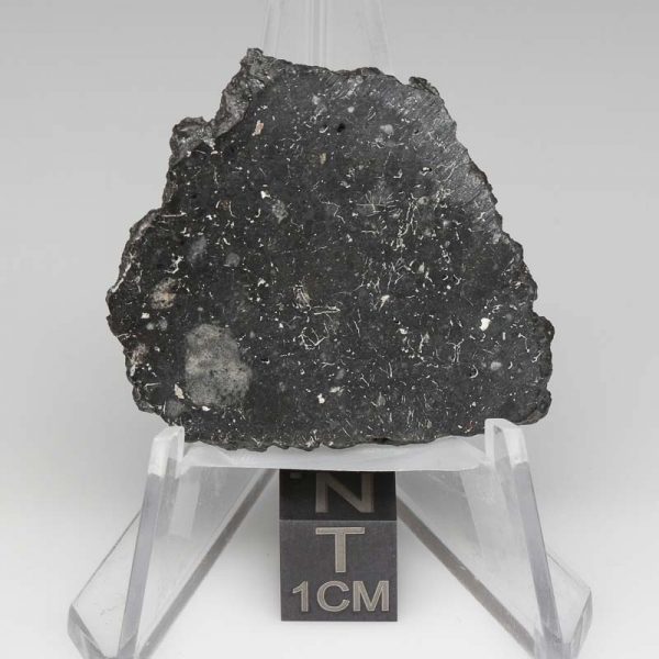 NWA 13788 Lunar Meteorite 4.31g