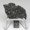 NWA 13788 Lunar Meteorite 3.48g