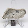 NWA 14370 Meteorite 9.2g