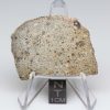 NWA 14370 Meteorite 8.5g