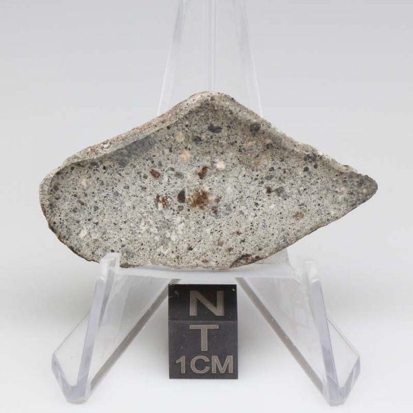 NWA 14370 Meteorite 5.6g