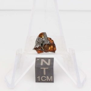 NWA 14492 Pallasite Meteorite 1.0g