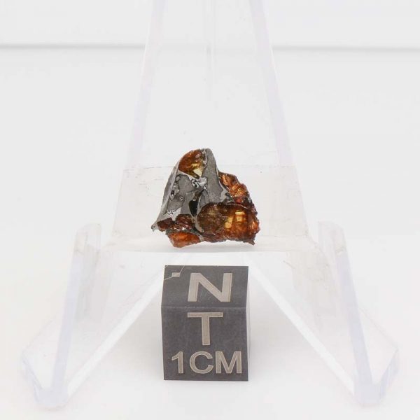 NWA 14492 Pallasite Meteorite 1.0g