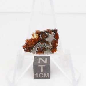 NWA 14492 Pallasite Meteorite 2.3g