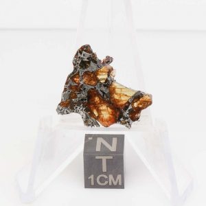 NWA 14492 Pallasite Meteorite 2.4g