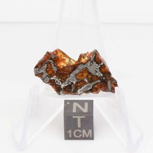 NWA 14492 Pallasite Meteorite 3.0g