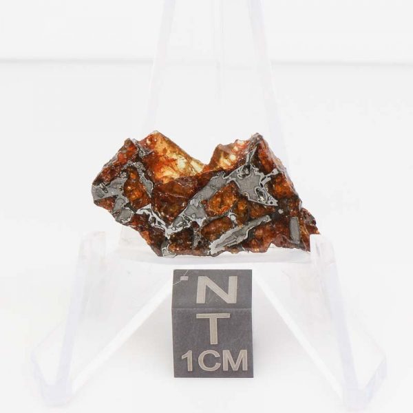 NWA 14492 Pallasite Meteorite 3.0g