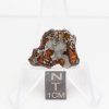 NWA 14492 Pallasite Meteorite 3.9g