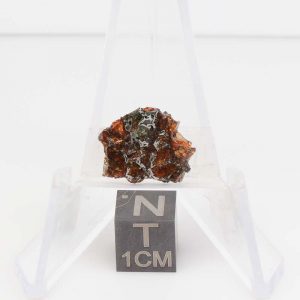 NWA 14492 Pallasite Meteorite 1.1g