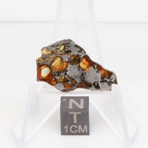 NWA 14492 Pallasite Meteorite 3.7g