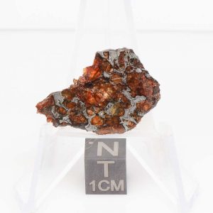 NWA 14492 Pallasite Meteorite 3.1g