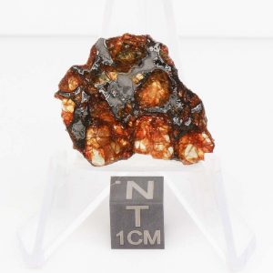 NWA 14492 Pallasite Meteorite 2.7g