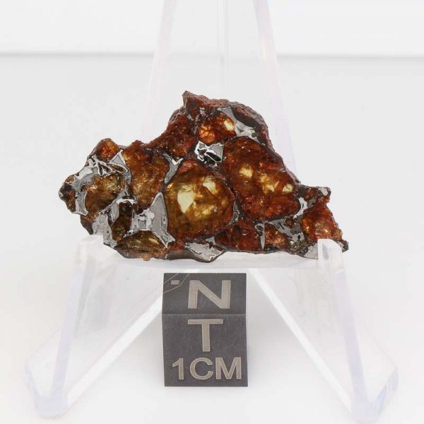 NWA 14492 Pallasite Meteorite 3.7g