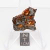 NWA 14492 Pallasite Meteorite 4.4g