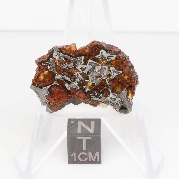 NWA 14492 Pallasite Meteorite 5.7g