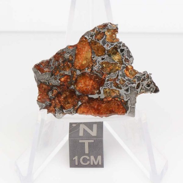 NWA 14492 Pallasite Meteorite 5.8g