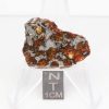 NWA 14492 Pallasite Meteorite 5.4g