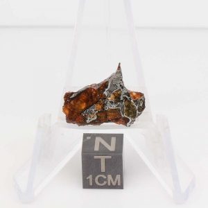 NWA 14492 Pallasite Meteorite 1.9g