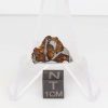 NWA 14492 Pallasite Meteorite 3.4g End Cut