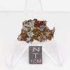 NWA 14492 Pallasite Meteorite 3.7g End Cut