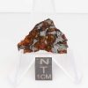 NWA 14492 Pallasite Meteorite 5.9g End Cut