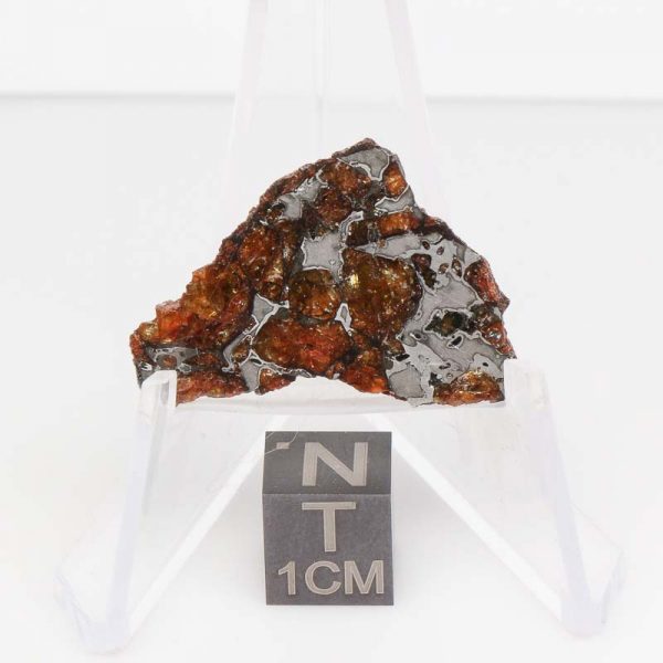 NWA 14492 Pallasite Meteorite 5.9g End Cut