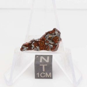 NWA 14492 Pallasite Meteorite 1.5g