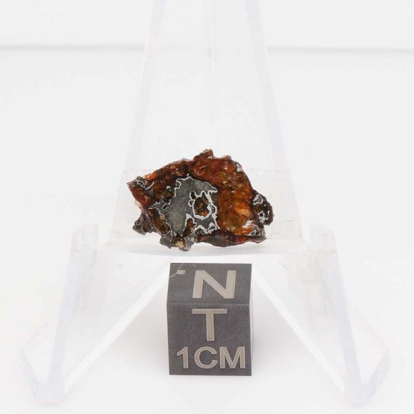 NWA 14492 Pallasite Meteorite 1.3g