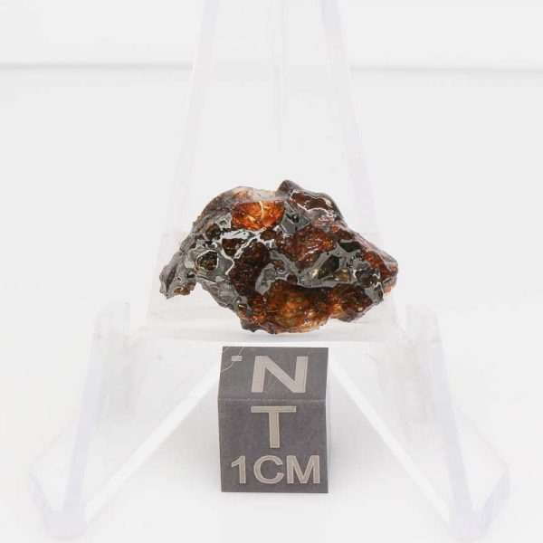 NWA 14492 Pallasite Meteorite 1.8g
