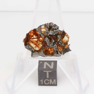 NWA 14492 Pallasite Meteorite 2.0g