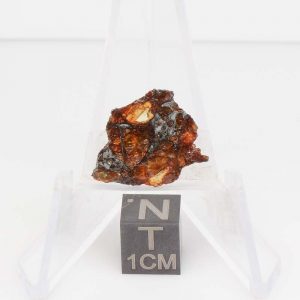 NWA 14492 Pallasite Meteorite 1.7g