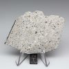 NWA 2060 Howardite Meteorite 21.5g